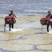 Two boys each carrying a cray pot out of the water