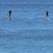 Two people on paddleboards in the ocean